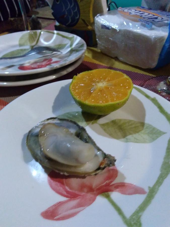 Casa Dos Acores B&B Florianópolis Zewnętrze zdjęcie
